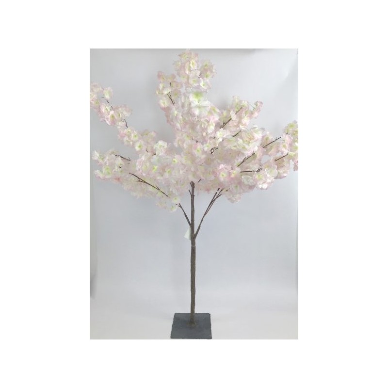 Arbre cerisier rose H120