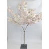 Arbre cerisier rose H120
