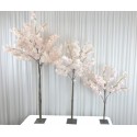 Arbre cerisier rose H120
