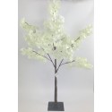 Arbre cerisier blanc H220