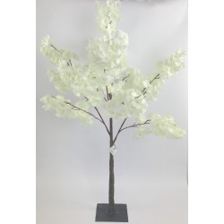 Arbre cerisier blanc H220