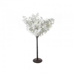 Arbre cerisier blanc H100