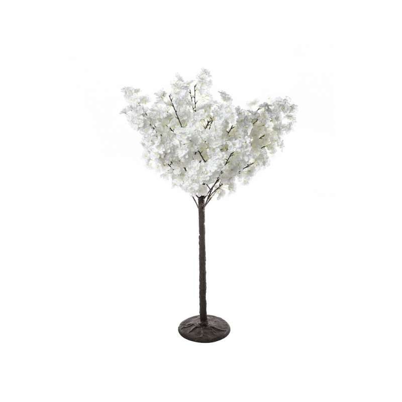 Arbre cerisier blanc H100
