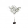 Arbre cerisier blanc H100