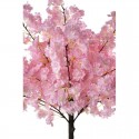 Arbre cerisier rose pâle H100