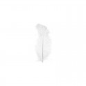 Plume d'autruche blanche