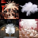 Plume d'autruche blanche