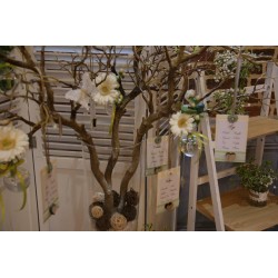 Branche d'arbre naturel tortueux