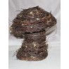 Champignon H30
