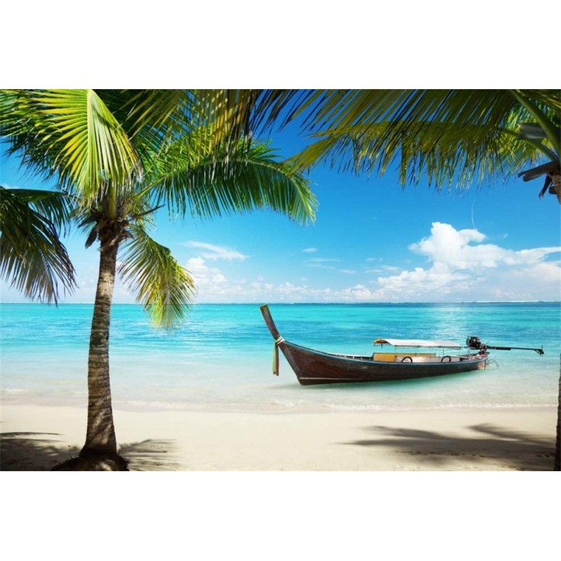 Toile de fond barque sur plage