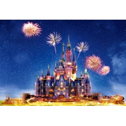 Toile de fond château Disney