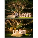Lettre lumineuse LOVE