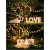 Lettre lumineuse LOVE
