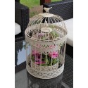 Cage oiseau PM