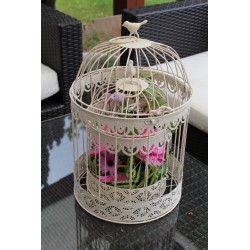 Cage oiseau PM