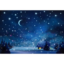 Toile de fond cheminée de noël