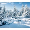 Toile de fond hiver sapin blanc