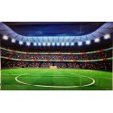 Toile de fond stade de football