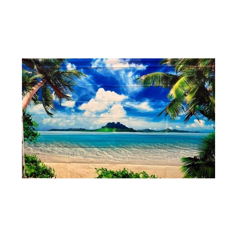 Toile de fond palmier sur la plage