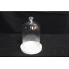 Cloche en verre D10