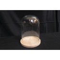 Cloche en verre D19