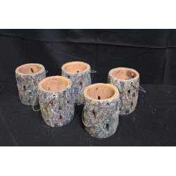 Lot de 5 photophores tronc