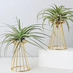 Centre de table géométrique doré