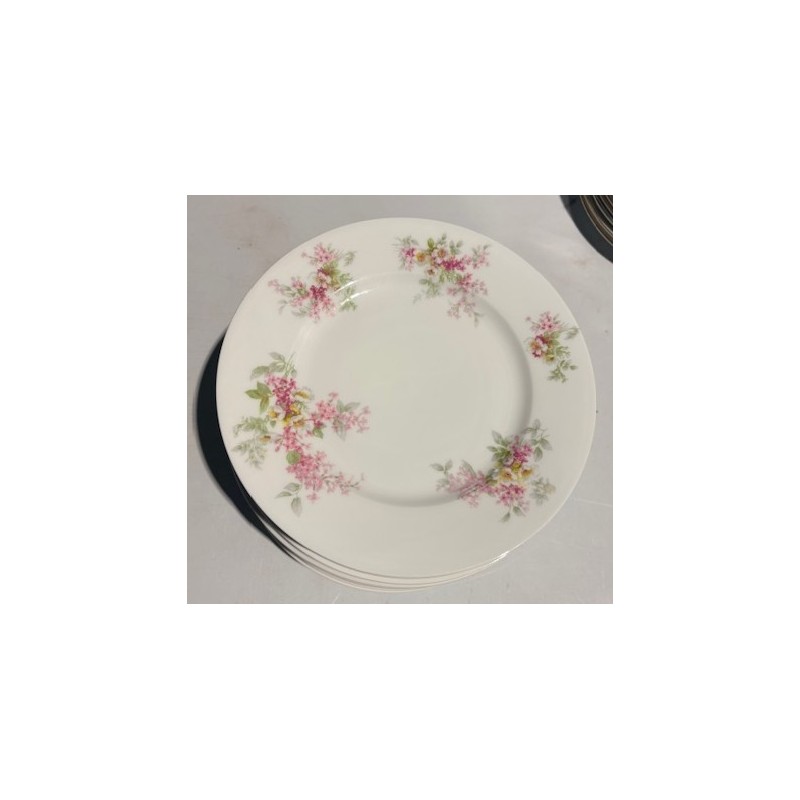 Assiette vintage – Modèle Venise