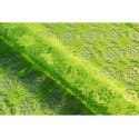 Nappe rectangle dentelle vert pomme
