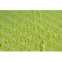 Nappe rectangle dentelle vert pomme