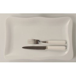 plat rectangle Saveur
