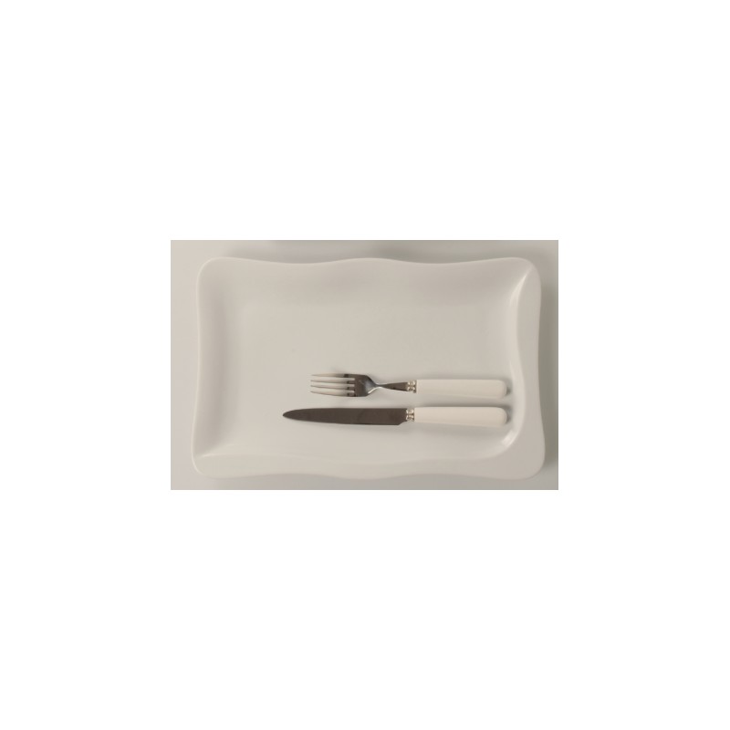 plat rectangle Saveur