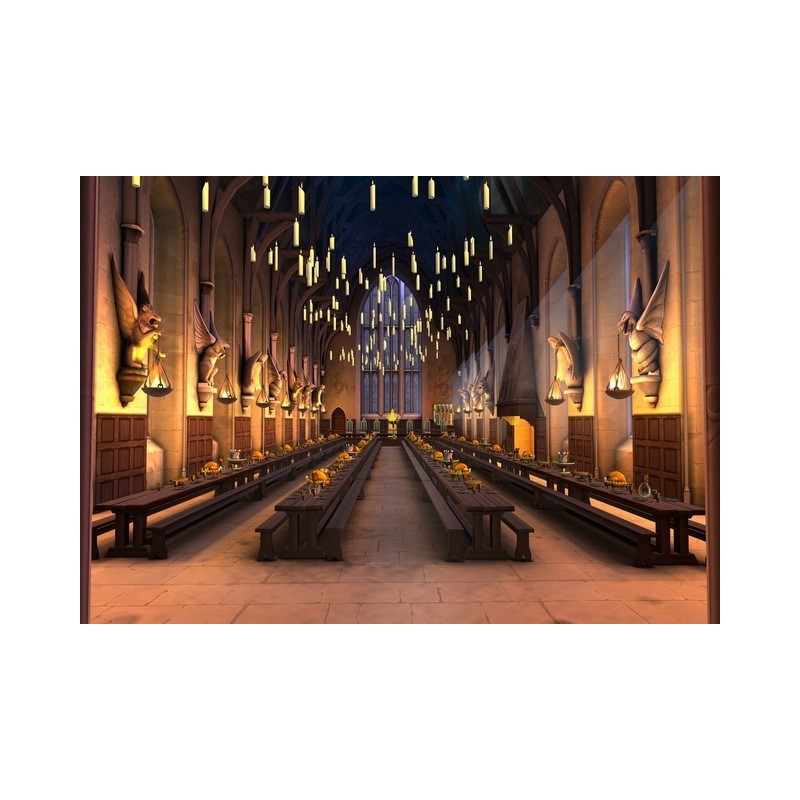 Toile de fond Harry Potter