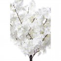 Arbre cerisier blanc H100